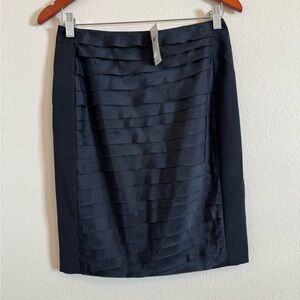 Ann Taylor Elegant Black Pleated 100% Silk Skirt